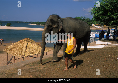 Un circus elephant con il suo detentore nel fiume Tapajos ALTER DO CHAO ( Bacino Amazzonico ) dello stato di Pará BRASILE Foto Stock