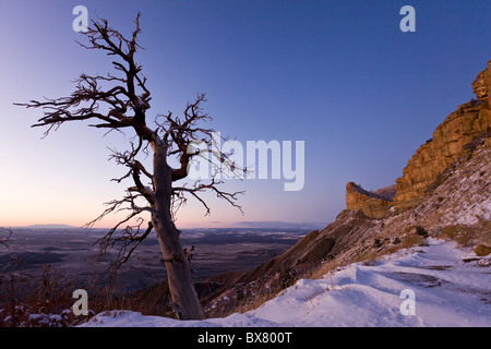 Albero e montagne al tramonto che si affaccia sulla valle di Montezuma nel Parco Nazionale di Mesa Verde, Colorado, STATI UNITI D'AMERICA Foto Stock