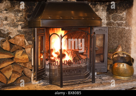 Aprire il fuoco di legna con i registri di masterizzazione e fireguard sulla suola in caldo e accogliente soggiorno interno camera. Inghilterra, Regno Unito, Gran Bretagna Foto Stock
