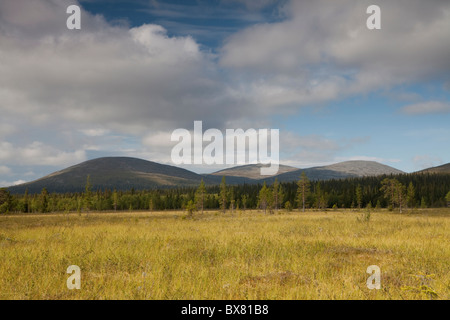 Pallastunturit, e Pyhäkero Pallaskero fells, Parco Nazionale di Pallas-Yllästunturi, Lapponia, Finlandia Foto Stock