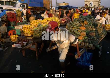 Uomo che porta gli ananassi in Ver o mercato in pesos (1668) BELEM stato di Pará Brasile (Amazon) Foto Stock