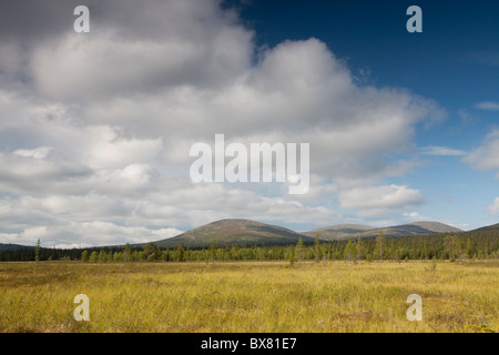 Pallastunturit, e Pyhäkero Pallaskero fells, Parco Nazionale di Pallas-Yllästunturi, Lapponia, Finlandia Foto Stock