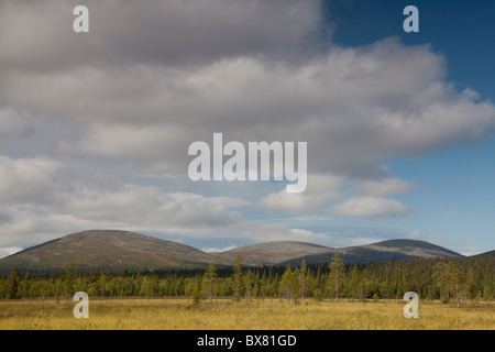 Pallastunturit, e Pyhäkero Pallaskero fells, Parco Nazionale di Pallas-Yllästunturi, Lapponia, Finlandia Foto Stock