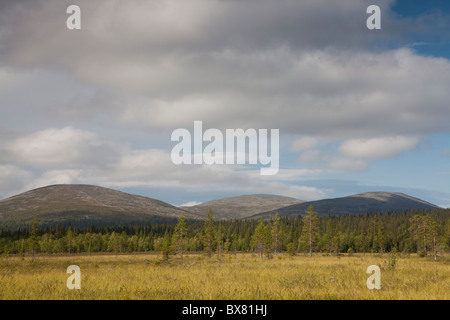 Pallastunturit, e Pyhäkero Pallaskero fells, Parco Nazionale di Pallas-Yllästunturi, Lapponia, Finlandia Foto Stock