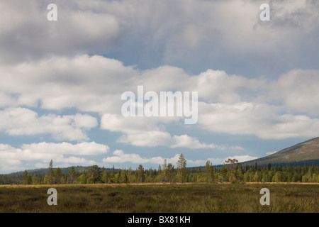 Pallastunturit, e Pyhäkero Pallaskero fells, Parco Nazionale di Pallas-Yllästunturi, Lapponia, Finlandia Foto Stock