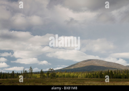 Pallastunturit, e Pyhäkero Pallaskero fells, Parco Nazionale di Pallas-Yllästunturi, Lapponia, Finlandia Foto Stock