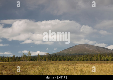 Pallastunturit, e Pyhäkero Pallaskero fells, Parco Nazionale di Pallas-Yllästunturi, Lapponia, Finlandia Foto Stock