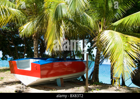 Panga barca taxi sulla spiaggia di Baia inferiore Bequia Saint Vincent e Grenadine Foto Stock