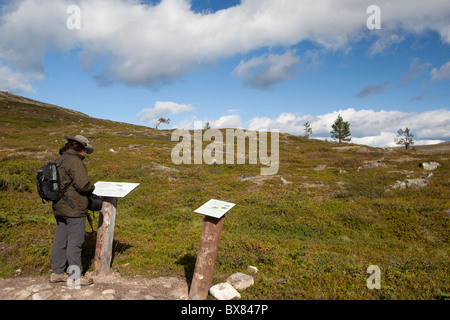 Pallaskero e Pyhäkero fells, Parco Nazionale di Pallas-Yllästunturi, Lapponia, Finlandia Foto Stock