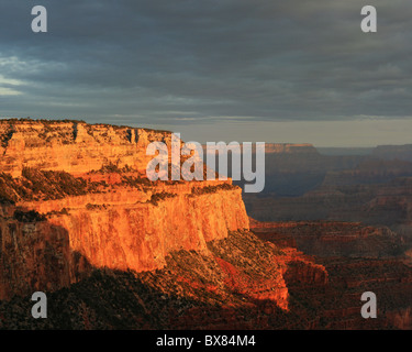 Grand Canyon cliff illuminato dalla mattina presto luce Foto Stock