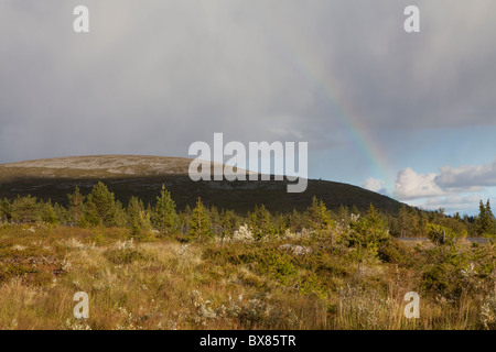 Pallaskero e Pyhäkero fells, Parco Nazionale di Pallas-Yllästunturi, Lapponia, Finlandia Foto Stock