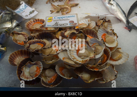 Capesante alla Pecheria Rialto Mercato pesce Venezia Veneto Italia del nord Europa Foto Stock