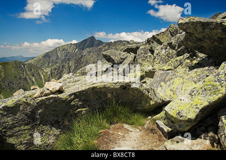 summer time in the mountain of Slovakia Foto Stock