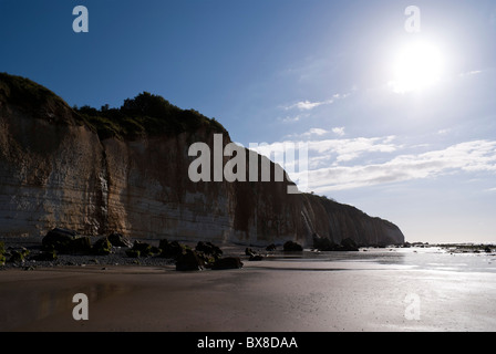 Teh scogliere a Vasterival valleuse in normandie Foto Stock