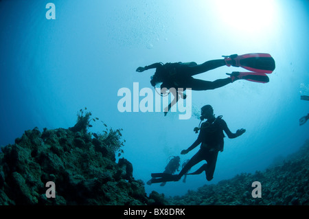 I subacquei in acqua fotografato presso il Parco Nazionale di Ras Mohammed, il Mare Rosso, Il Sinai, Egitto, Foto Stock