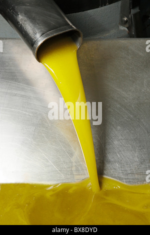 Versando l'olio d'oliva. Macchine per l'estrazione dell'olio di oliva. L'ESPLUGA Calba, Lleida, in Catalogna, Spagna. Foto Stock