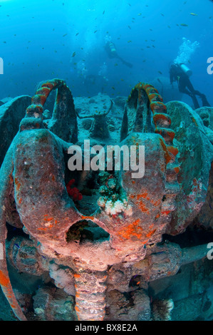 I subacquei ad un naufragio presso il Parco Nazionale di Ras Mohammed, il Mare Rosso, Il Sinai, Egitto, Foto Stock