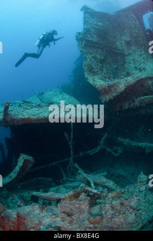 Subacqueo a un naufragio presso il Parco Nazionale di Ras Mohammed, il Mare Rosso, Il Sinai, Egitto, Foto Stock