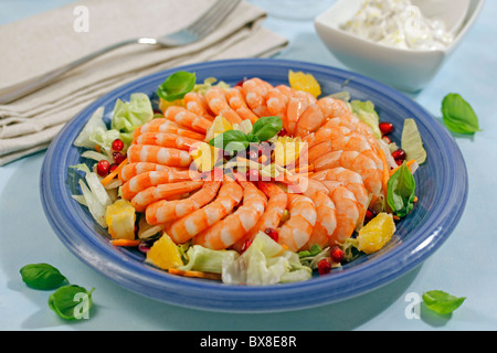 Gamberetti della corona. Ricetta disponibile. Foto Stock
