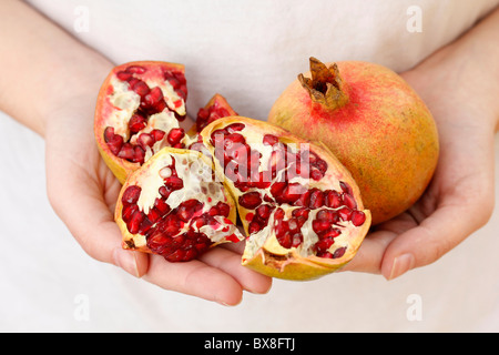 Melograni. Foto Stock