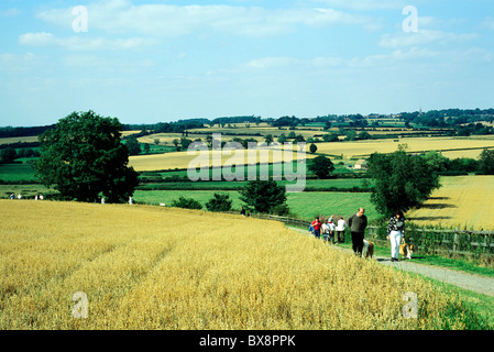 Bosworth Battlefield passeggiate, Leicestershire, visualizzare sul mercato Bosworth Inghilterra Inglese UK battlefield, campi di battaglia trail sentieri Foto Stock