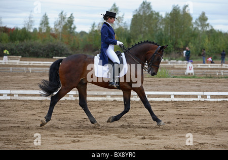 Giovani dressage lady pilota sul retro del suo cavallo tedesco indossare stivali da cavallo Equitazione speroni di pantaloni che scendono sino al ginocchio incluso e un casco di equitazione Foto Stock