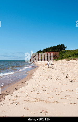 Spiaggia di Sante Sands, Canola Field, Bothwell, Prince Edward Island, The maritimes, canada. Foto Stock