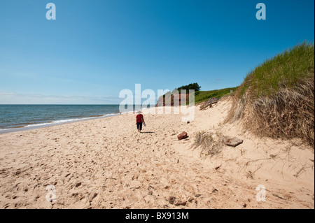 Spiaggia di Sante Sands, Canola Field, Bothwell, Prince Edward Island, The maritimes, canada. Foto Stock