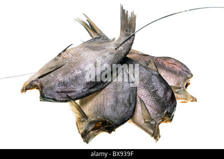 Pesci secchi isolati su sfondo bianco Foto Stock