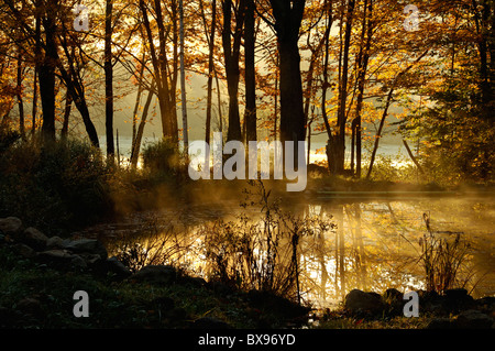 La nebbia che salgono dal piccolo laghetto alla prima luce del mattino in Carroll County, New Hampshire Foto Stock