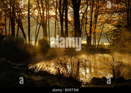 La nebbia che salgono dal piccolo laghetto alla prima luce del mattino in Carroll County, New Hampshire Foto Stock