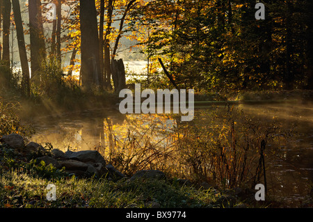 La nebbia che salgono dal piccolo laghetto alla prima luce del mattino in Carroll County, New Hampshire Foto Stock