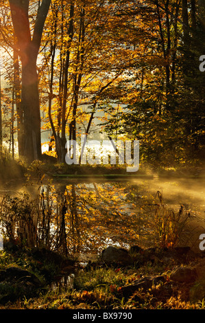 La nebbia che salgono dal piccolo laghetto alla prima luce del mattino in Carroll County, New Hampshire Foto Stock