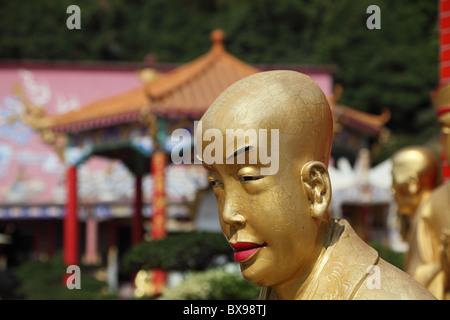 Statua del Buddha dal Tempio del Buddha 10000 in Hong Kong Foto Stock