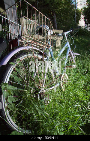 L'erba cresce attraverso un arrugginito ladies bicicletta con un cestino Foto Stock