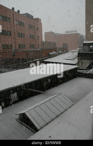 Rare la caduta di neve a Roma il 12 febbraio 2010 Foto Stock