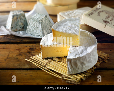 Coulommier tradizionale formaggio francese Foto Stock