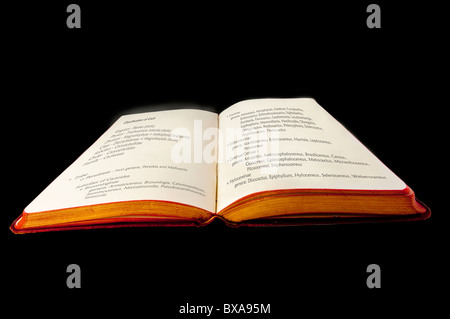 Aprire il vecchio libro con rosso e oro bordi pagina. Pagine vuote, isolato su nero Foto Stock
