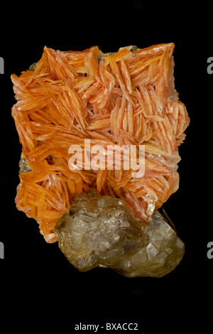 La barite su Cerrusite - Marocco - Barite (arancione) è il principale minerale di bario (solfato di bario) - classe di minerali: solfati Foto Stock