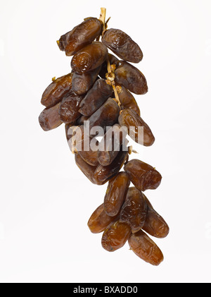 Essiccato Medjool date Foto Stock