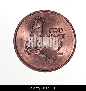 Zambian due ngwee moneta Foto Stock