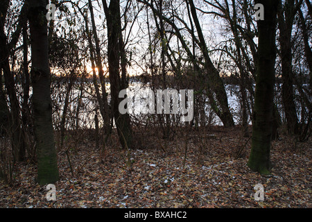 Inverno scene Parkland Nottingham Inghilterra Foto Stock