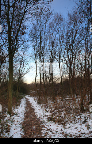 Inverno scene Parkland Nottingham Inghilterra Foto Stock