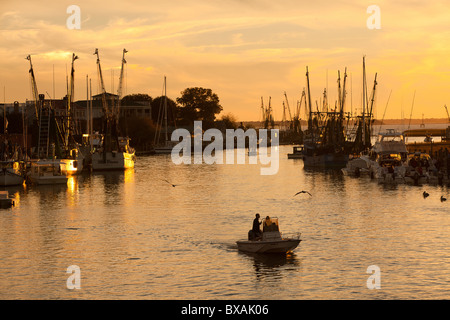 Tramonto sui pescherecci per gamberetti su Shem Creek in Mt Pleasant, SC. Foto Stock