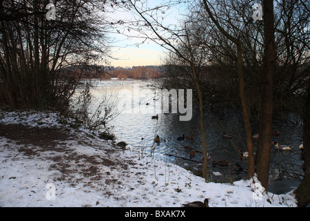 Inverno scene Parkland Nottingham Inghilterra Foto Stock