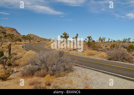 Parco nazionale di Joshua Tree Foto Stock