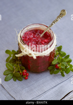 Lingonberry jam in vaso Foto Stock