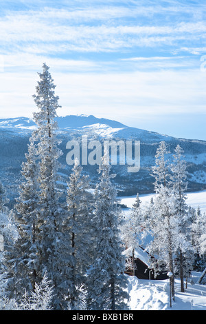 Paesaggio invernale Foto Stock