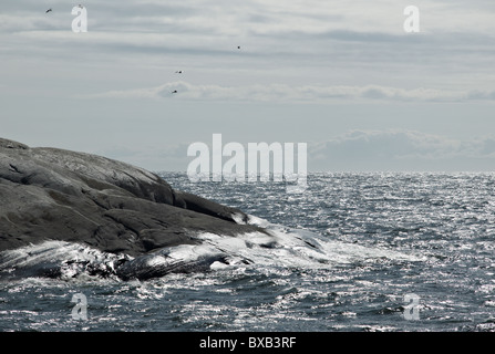 Lato mare roccioso Foto Stock