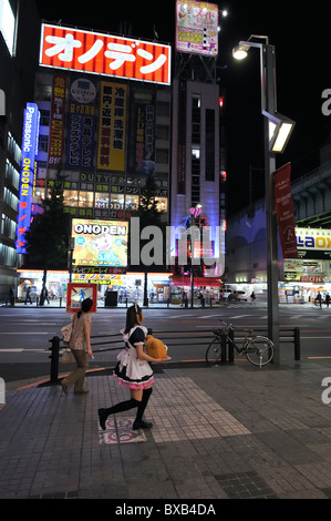 Giovane donna giapponese promuovendo maid cafe di Akihabara di notte, Tokyo, Giappone Foto Stock